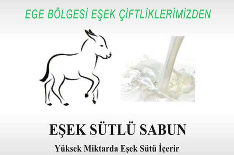 Eşek Sütü Sabunu